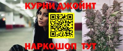 индика Пугачёв