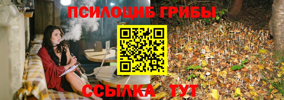 Бошки Шишки  Вход с VPN  Метадон  Можга  ГАШИШ  Меф МЯУ МЯУ   МЕТАМФЕТАМИН  КОКАИН  Меф МЯУ МЯУ 
