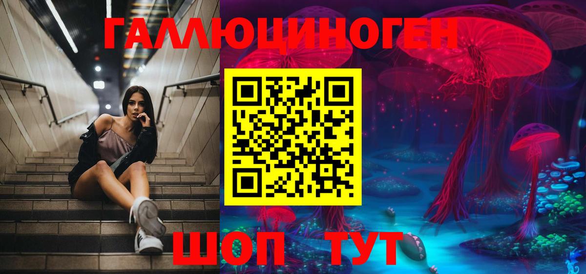 Галлюциногенные грибы Cubensis Можга