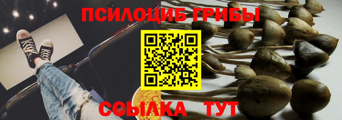 Псилоцибиновые грибы MAGIC MUSHROOMS  Вход с VPN  Псилоцибиновые грибы Psilocybine cubensis  цена наркотик  Можга 